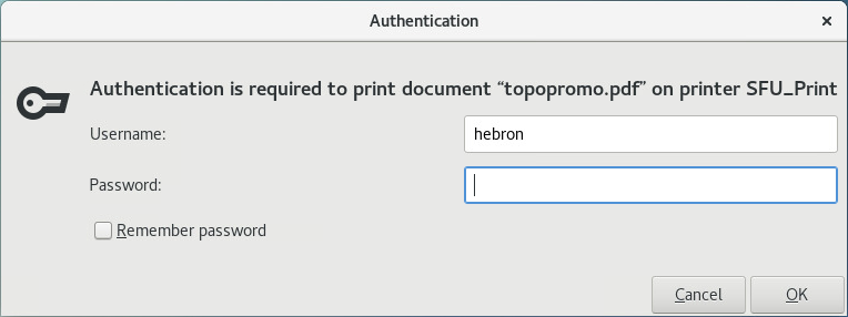 Job Authentication window